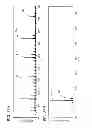 Fig. 29 - Light-emitting element, light-emitting device, electronic device, and lighting device