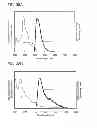 Fig. 33 - Carbazole derivative, light-emitting element material and organic semiconductor material
