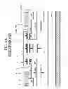 Fig. 07 - Wide band gap semiconductor device