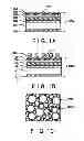 Fig. 02 - Semiconductor light-emitting device, lighting instrument employing the same and process for production of the semiconductor light-emitting device