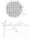Fig. 01 - WAFER SEPARATION