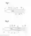 Fig. 02 - Feed nozzle assembly
