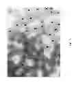 Fig. 10 - METHOD OF FORMING A POINT BRIDGED FIBER BUNDLE
