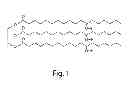 Fig. 02 - Methods of Molding Thermoplastic Polymer Compositions Comprising Hydroxylated Lipids