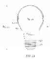 Fig. 03 - INDUCTION RF FLUORESCENT LAMP WITH BURST-MODE DIMMING