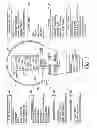 Fig. 02 - INDUCTION RF FLUORESCENT LIGHT BULB WITH BURST-MODE DIMMING