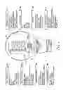 Fig. 02 - DIMMABLE INDUCTION RF FLUORESCENT LIGHT BULB