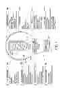 Fig. 02 - INDUCTION RF FLUORESCENT LIGHT BULB WITH SYNCHRONIZED BURST-MODE DIMMING