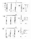 Fig. 01 - Method for determining the rotary position of the rotor of an electric machine