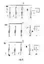 Fig. 02 - Method for determining the rotary position of the rotor of an electric machine