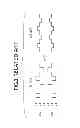 Fig. 03 - SEMICONDUCTOR INTEGRATED CIRCUIT