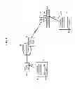Fig. 07 - Electromagnetic reflection profiles