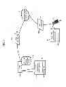 Fig. 10 - Electromagnetic reflection profiles
