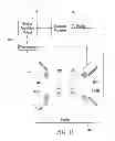 Fig. 13 - Cross-user hand tracking and shape recognition user interface