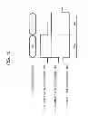 Fig. 11 - Display device and method for driving same having selection control wire for scanning wires and secondary data wire