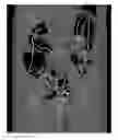 Fig. 01 - Generation and viewing of panoramic images