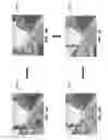 Fig. 05 - Rendering and navigating photographic panoramas with depth information in a geographic information system