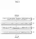 Fig. 11 - Contour segmentation apparatus and method based on user interaction