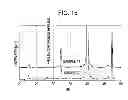 Fig. 14 - Liquid ejection head