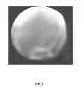 Fig. 02 - Image Processing