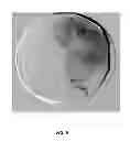 Fig. 06 - Image Processing
