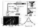 Fig. 01 - Z-microscopy