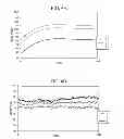 Fig. 07 - Calibration of a dynamic digital imaging system for detecting defects in production stream