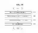 Fig. 11 - Image processing apparatus and method using smart glass