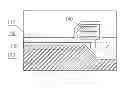 Fig. 01 - LCD DEVICE, ARRAY SUBSTRATE, AND METHOD FOR MANUFACTURING THE ARRAY SUBSTRATE