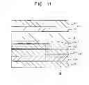 Fig. 09 - Liquid crystal display apparatus comprising a light shielding layer overlapping outermost conductive patterns of an electrode