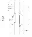 Fig. 22 - NANO CRYSTAL DISPLAY DEVICE HAVING IMPROVED MICROCAVITY STRUCTURE