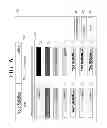 Fig. 07 - Imaging forming apparatus to merge print data with a rendering image, method of image forming, and computer-readable recording medium