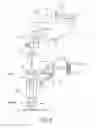 Fig. 05 - Light microscope and microscopy method