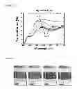 Fig. 17 - Optically variable thin film with electrochemical capacitance property and use thereof