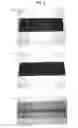 Fig. 04 - Light control film