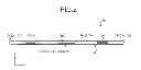 Fig. 03 - Electronic Device