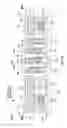 Fig. 14 - Immersion-cooled and conduction-cooled method for electronic system