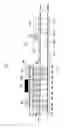 Fig. 04 - PRINTED CIRCUIT BOARD AND DEVICE INCLUDING THE SAME