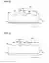 Fig. 20 - Illumination device and display device