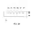Fig. 10 - Light source module and display module