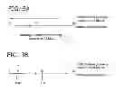 Fig. 03 - Information terminal device and object identification device