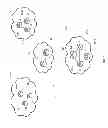 Fig. 02 - METHOD AND APPARATUS FOR FACILITATING PROCESS RESTART IN AN IS-IS SYSTEM