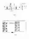 Fig. 02 - Method and apparatus for handling downlink reference signal interference to PDSCH in long term evolution coordinated multipoint transmission