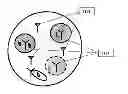 Fig. 01 - Performing measurements in a digital cellular wireless telecommunication network