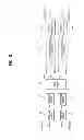 Fig. 07 - Method of transmitting/receiving downlink control information and user equipment therefor in wireless access system