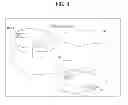 Fig. 04 - METHOD AND DEVICE FOR OFFERING DATABASE ACCESS IN WIRELESS COMMUNICATION SYSTEM