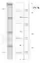 Fig. 24 - PMA-size training frame for 100GBASE-KP4