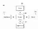 Fig. 01 - Bandwidth saving architecture for scalable video coding spatial mode
