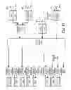 Fig. 50 - Forward-path digital summation in digital radio frequency transport