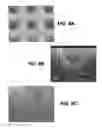 Fig. 07 - CHANNELING X-RAYS